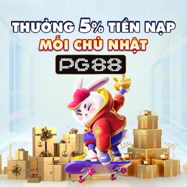 Khám phá poki poki cùng 4 người bạn trong thế giới trò chơi thú vị