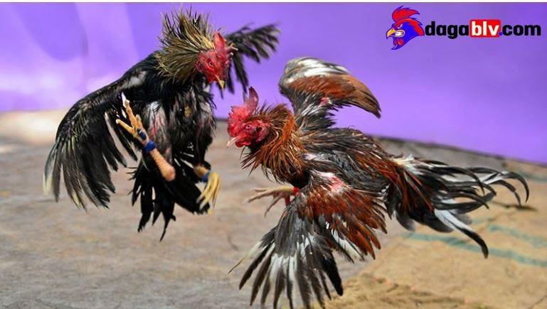 Khám phá các game mới nhất hiện nay dành cho tín đồ giải trí