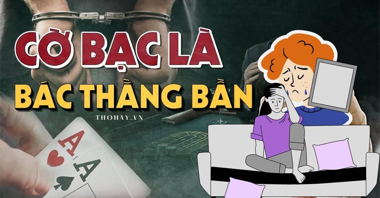 Khám phá thế giới Cricket Star với trải nghiệm cá cược Cricket Star hấp dẫn