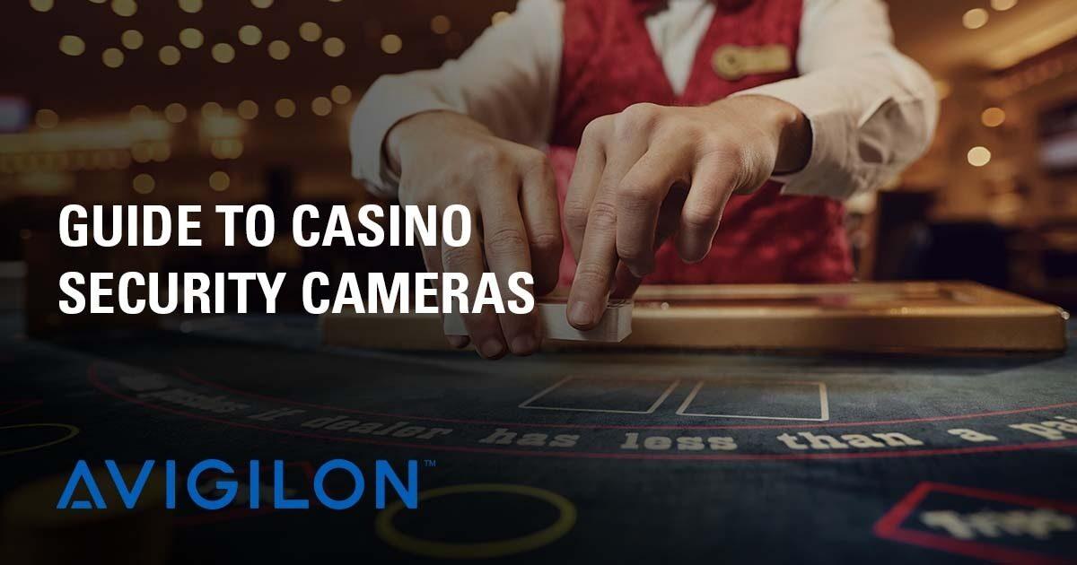 Trải nghiệm xem đá gà casino trực tiếp đỉnh cao cùng những trận đấu kịch tính
