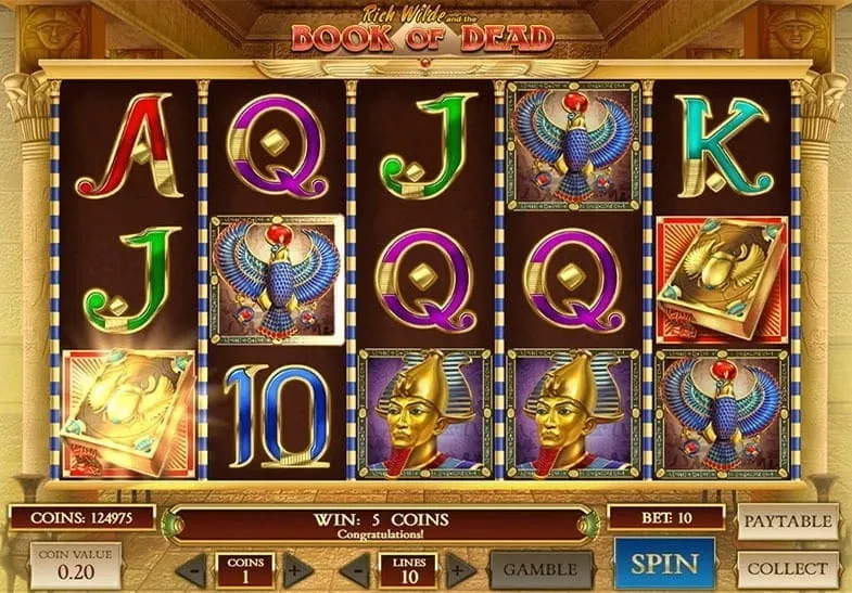 Khám phá thế giới Domino Shop địa chỉ mua sắm uy tín hàng đầu dành cho bạn